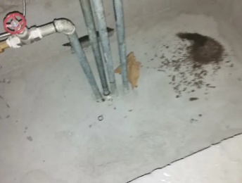 裕安卫生间测漏水价格明细